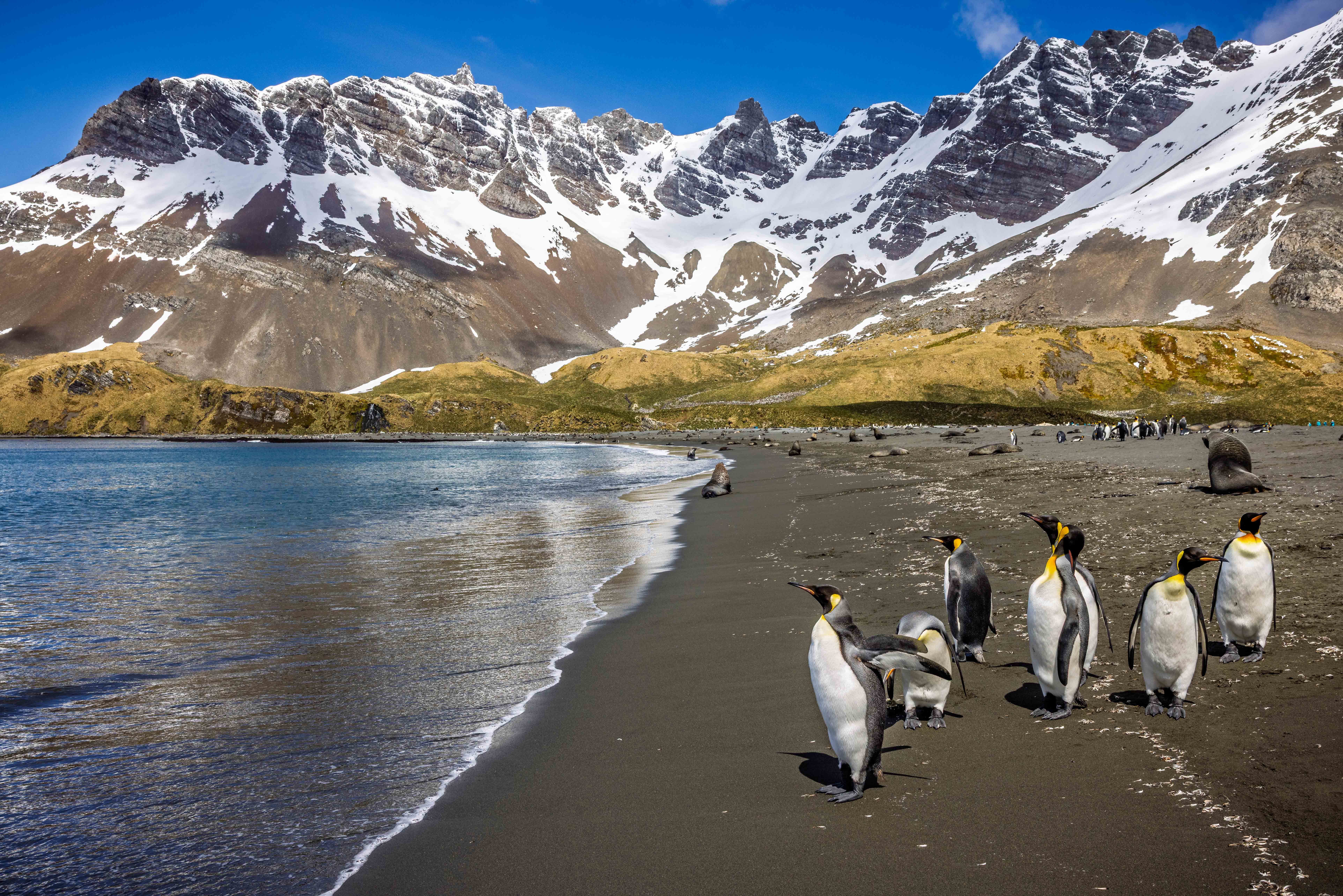 Expedition to Antarctica: Weddell Sea cruise